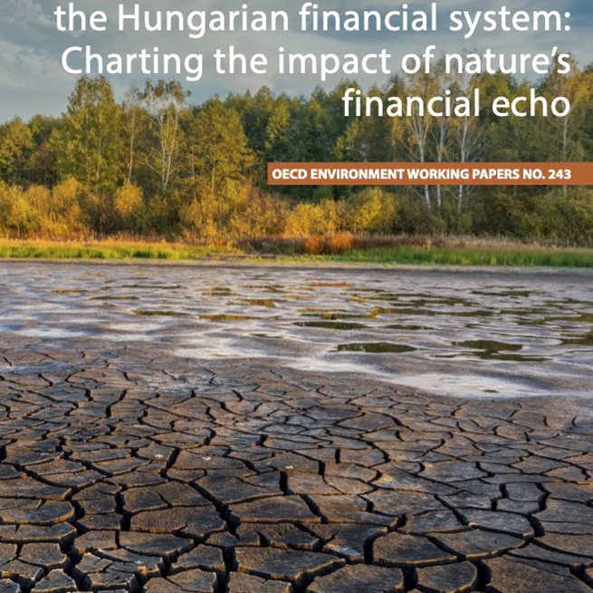 Assessing nature-related risks in the Hungarian financial system: Charting the impact of nature's financial echo