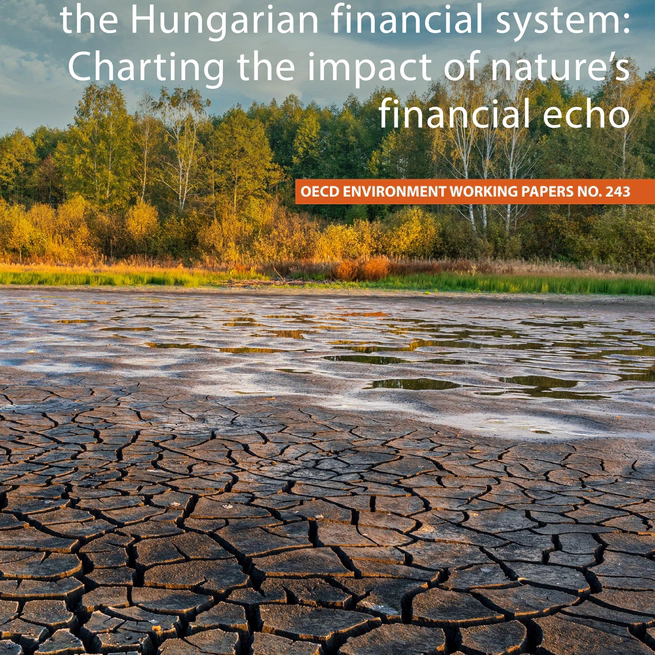 Assessing nature-related risks in the Hungarian financial system: Charting the impact of nature's financial echo